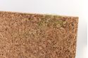 Panneau isolant dense en liège naturel (faces poncées) - Texture 50mm