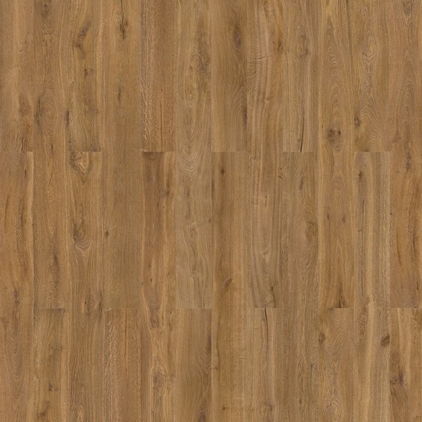 Antique Oak Honey