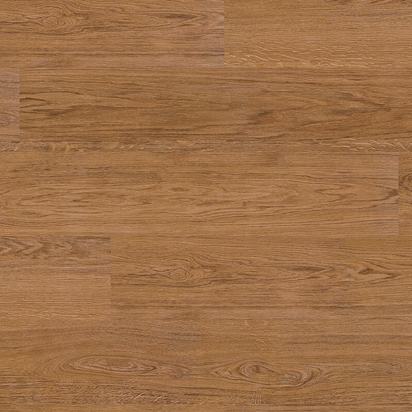 Elegant Oak